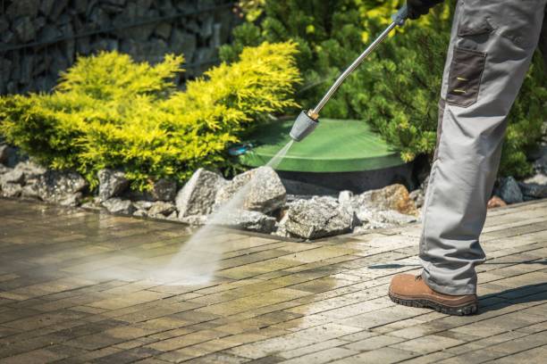 Boat and Dock Cleaning in Ragland, AL