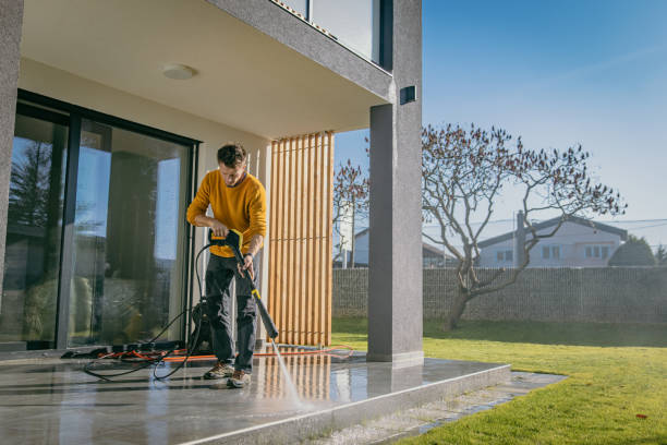 Best Roof Washing  in Ragland, AL